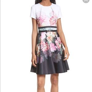 Ted Baker Valerey Dress